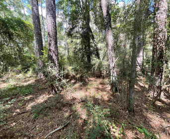 Land For Sale in Jasper Florida | $1,000 Down $150 a. Month | Near power and Public Boat Ramp