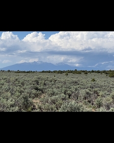 Land For Sale in Colorado Rocky Mountains | Owner Financed $500 Down and $125 a Month
