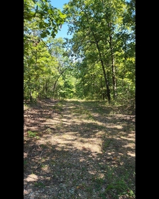 Land For Sale in Arkansas $99 Down & $39 a Month 0%