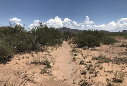 Land For Sale in Arizona | $99 Down & $99 a Month 0%  | Amazing View of Mountains