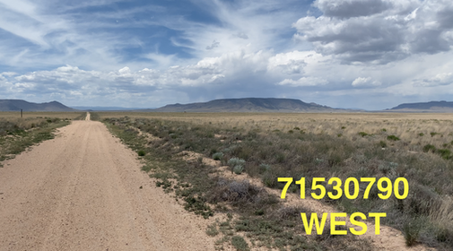 Land For Sale in Colorado 5 Acres | $99 Down $ $125 a Month | Owner Finaced 0%