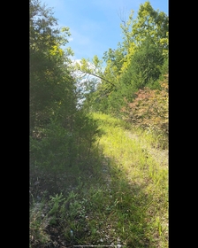 SOLD * Land For Sale Arkansas with Road Footage and Development Near! ONLY $50 DOWN & $50 a MONTH 0%