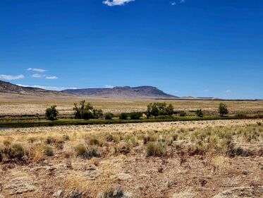 Land For Sale in Colorado Facing Rio Grande River 1 ACRE | By Owner $150 Down & $125 a Month