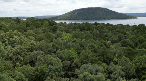 Land For SALE in PRIME location of Fairfield Bay Arkansas | One of the most expensive block in the Bay | Near water and full Utilities