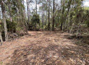 Land For Sale in Florida | $150 Down & $200 a Month RV ALLOWED CLEARED | Owner Financed 0% NO DOC FEE NO CREDIT CHECK