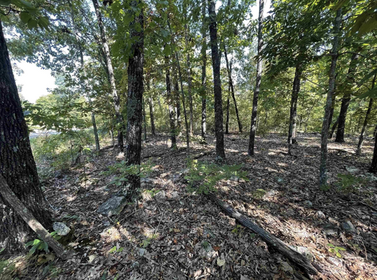 SOLD SOLD SOLD SOLD Land For Sale in Arkansas |$50 Down & $50/MO 0% NO CREDIT CHECK NO DOC FEES