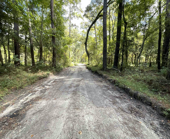 SOLD Land For Sale in Jasper Florida | $1,000 Down $175 a Month | Near power, Public Boat Ramp, Borders STATE PARK SOLD
