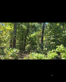 Land For Sale in Izard County of  Arkansas | $1 Down & $39/MO NO DOC FEES OR HIDDEN COST