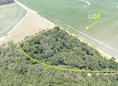 HUGE OPPORTUNITY*  Land For Sale in Florida | 2.91 Acres of LIVE OAKS  & Tucked in The Woods with Dirst Road Accsess